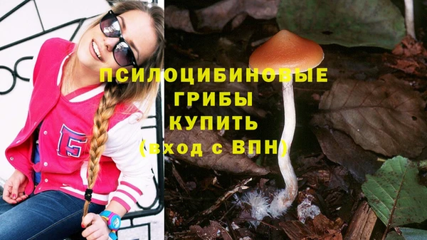 мдпв Верхнеуральск