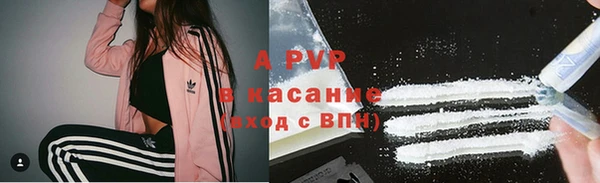 apvp Верея