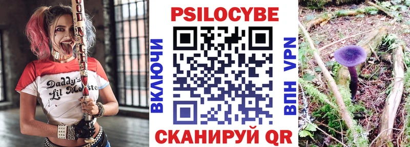 blacksprut зеркало  Бердск  Псилоцибиновые грибы Psilocybe  закладка 